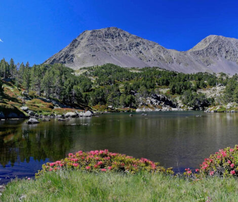 LES CORTALS EXPERIENCE CERDANYA FRANCESA