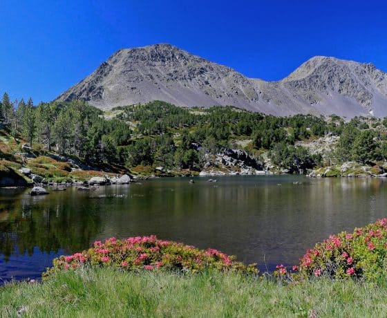 Lac des Camporeils