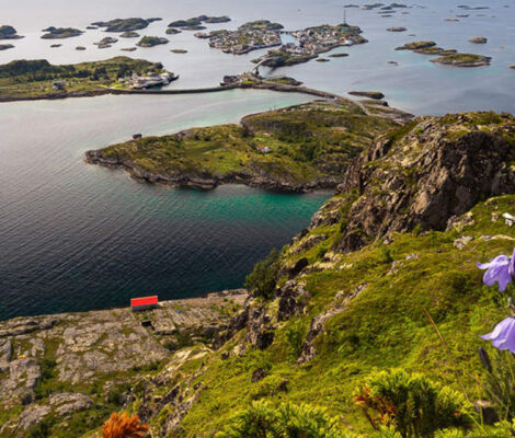 LOFOTEN EXPERIENCE