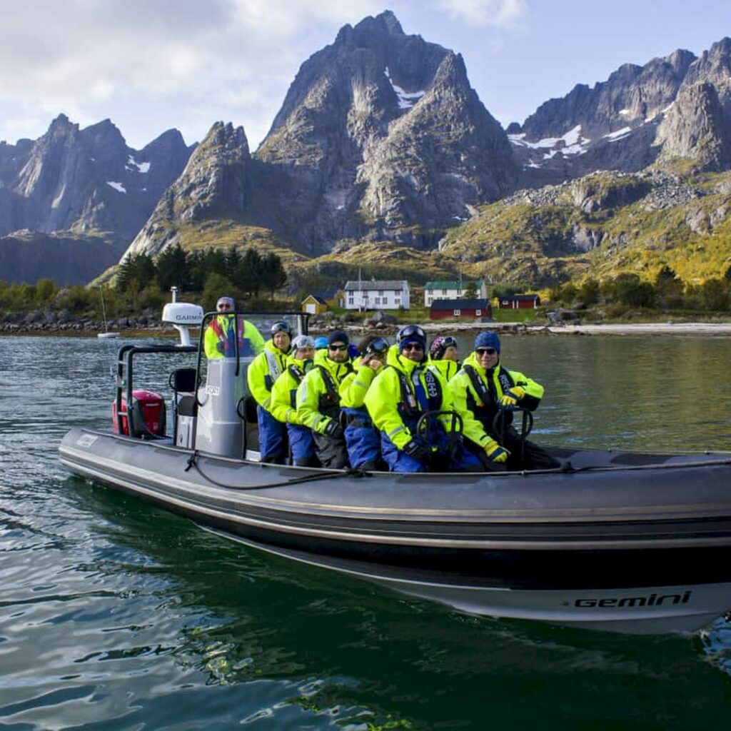 Rib Safari Lofoten