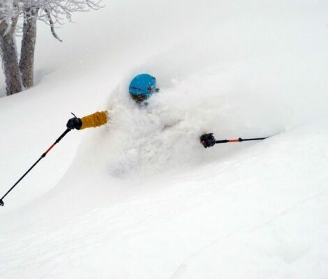 SKI SAFARI IN JAPAN