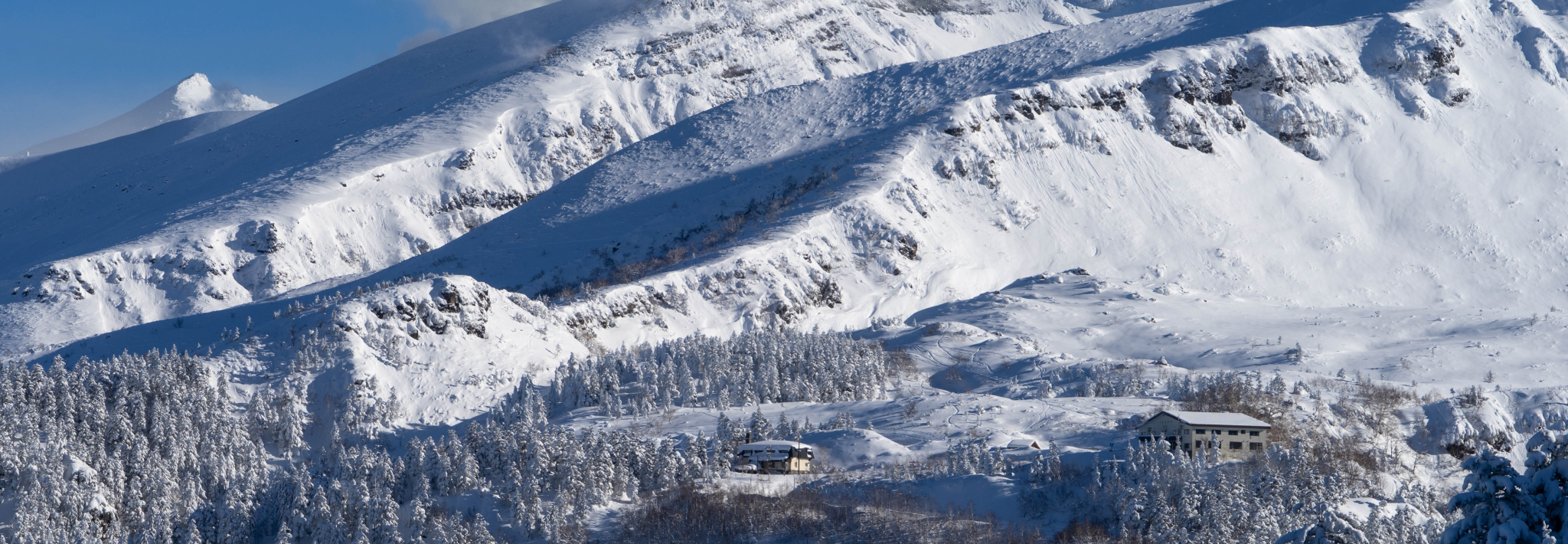 Safari Japon Furano
