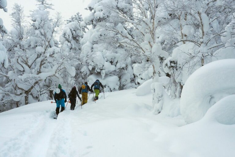 Japan Ski Safari