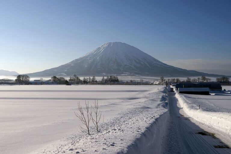 Japan Ski Safari