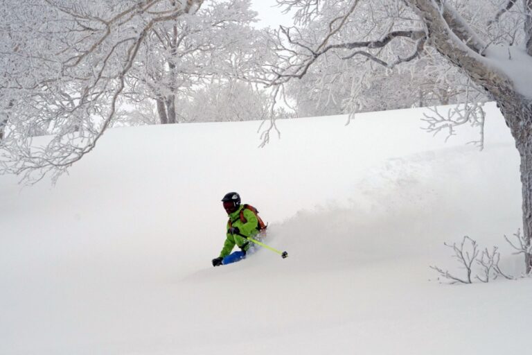 Japan Ski Safari