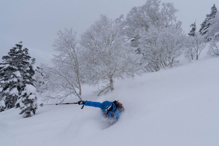 Japan Ski Safari