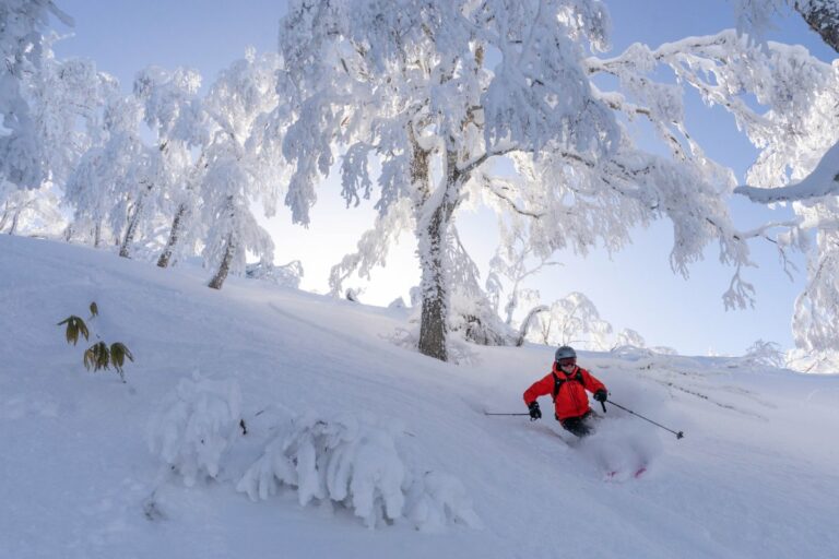 Japan Ski Safari