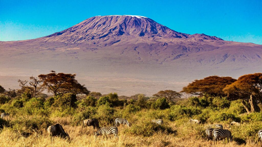 Kilimandjaro été