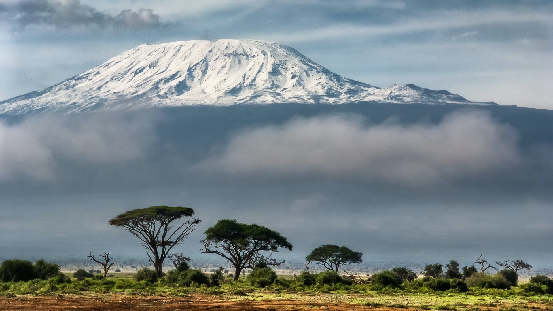 Kilimanjaro