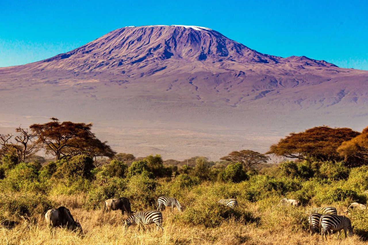 Kilimandjaro été