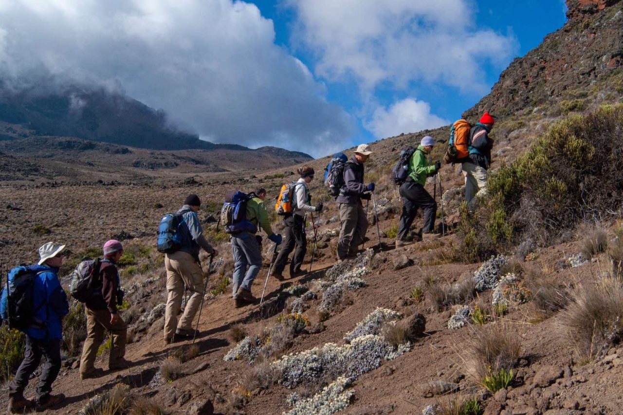 ascension kilimanjaro